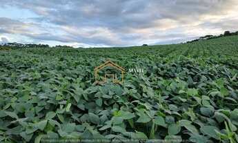 Imagem 2: Terreno Rural 140.000m² com 8 hectares de lavoura pronta em Campo Belo do Sul - SC