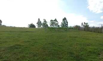 Imagem 7: Maravilhosa Área de terra 2.3 hectares Porteira fechada em Glorinha de barbada!!!!