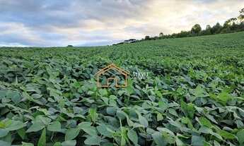Imagem 1: Terreno Rural 140.000m² com 8 hectares de lavoura pronta em Campo Belo do Sul - SC