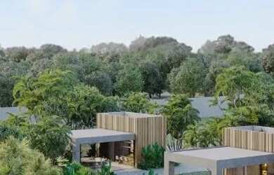 Imagem 5: Sunset Boulevard 2