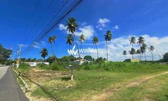 Imagem 2: Chance única! Terreno 1.560m² as margens da AL 101. Com 63m de testada de pista a 50m da p