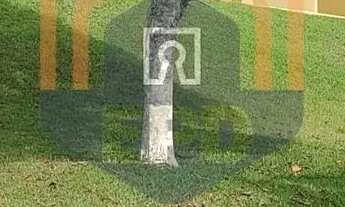 Imagem 4: Casa com terreno de 700 m2 em Jardim Morada Alta - Jarinu