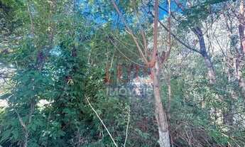 Imagem 3: Terreno à venda, 615 m² por R$ 1.200.000 - Piratininga - Niterói/RJ - TE1082