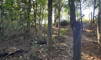 Imagem 7: Vendo chácara Chácara com venda por R$400.000