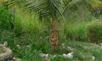 Imagem 7: Chácara Para Vender com 03 quartos no bairro Zona Rural em Esmeraldas