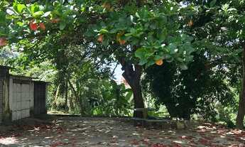 Imagem 3: Excelente apto 1° andar, nascente, no Conjunto Rui Palmeira