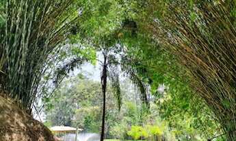 Imagem 7: Sítio em Rodovia Engenheiro Constâncio Cintra - Área Rural de Itatiba - Itatiba/SP