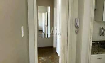 Imagem 7: Apartamento com 03 quartos e suíte - Bairro Floresta