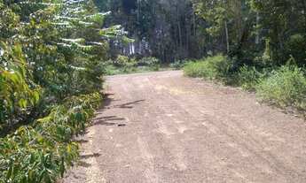 Imagem 4: Terreno / Áreas 204 Hectares em Novo Airão Amazonas