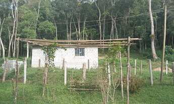 Imagem 7: Chacara apenad 2,5 do asfalto 150 mil rrais