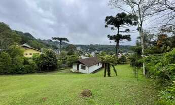 Imagem 4: Terreno - Bairro Dutra