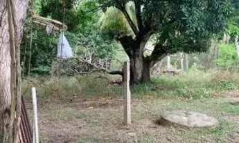 Imagem 2: Vende se Chácara com venda com preço sob consulta