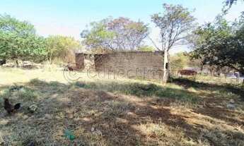 Imagem 7: Terreno de 4.989m² para locação e venda - Parque dos Pinus