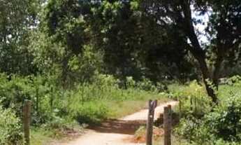 Imagem: Oportunidade! Terreno 560 m² perto do Asfalto