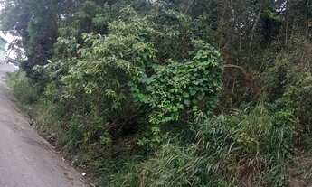 Imagem 5: Vende-se terreno 15x25