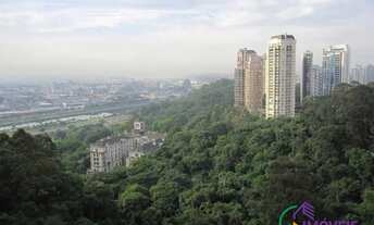 Imagem 7: APARTAMENTO - JARDIM FONTE DO MORUMBI - SP