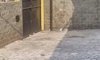 Imagem 4: Imóvel para venda possui 360 metros quadrados com 10 quartos, 4 banheiros, copa-cozinha, g