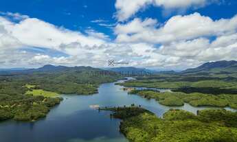 Imagem 5: Refúgio Ecológico, terreno em área de preservação à venda em Piraquara