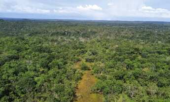 Imagem: Fazenda no Tocantins