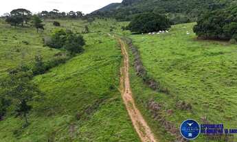 Imagem 6: Fazenda à Venda em Anápolis - GO 37 Alqueires Rica em Água