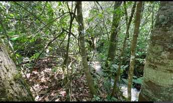 Imagem 3: Chácara de 5330 m² com 02 quartos à venda por R$ 350.000 em Hidrolândia