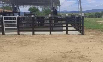 Imagem 6: Lindona, fazenda com 286t, casa sede curral completo, rio e pastagem pronta