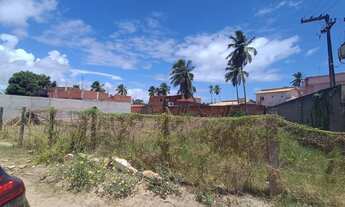 Imagem 7: Terreno Maragogi