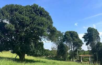 Imagem 7: Imóvel para venda possui 500 metros quadrados em Lageadinho - Ibiúna - SP