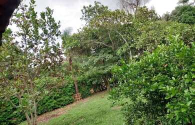 Imagem 6: Chácara para venda tem 5000 metros quadrados com 3 quartos em Zona Rural - Hidrolândia - G