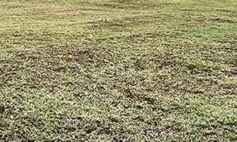 Imagem 6: COMERCIAL - CHÁCARA REMANSO (CAUCAIA DO ALTO) - SP