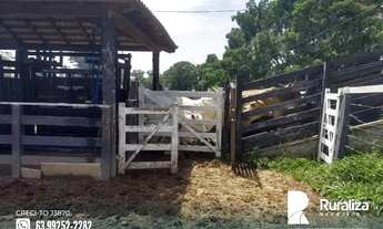 Imagem 6: João Pinheiro - MG 2km das margens do rio Santo Antônio