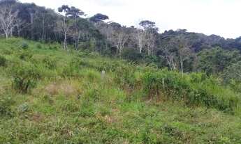 Imagem 6: Fazenda de 26 hectares de cacau em una sul da bahia