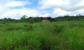 Imagem 4: Fazenda 85 alqueires abel figueiredo pará