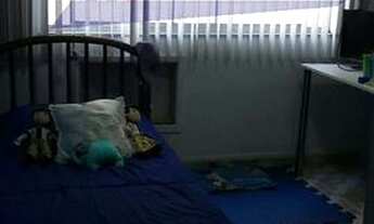 Imagem 5: Apartamento na Mallet, 2 qtos, sala, copa, coz, banheiro, varanda, área de serviço e vaga