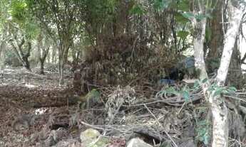 Imagem 4: Chácara 1000 metros Piedade sp