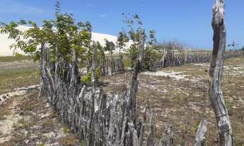 Imagem 4: Lindíssimo terreno na praia da Tatajuba