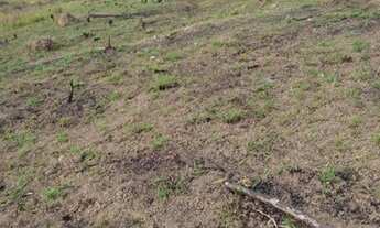 Imagem: Priorizamos a sua escolha