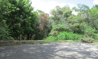 Imagem 2: SãO ROQUE - Terreno Padrão - Patrimônio do Carmo