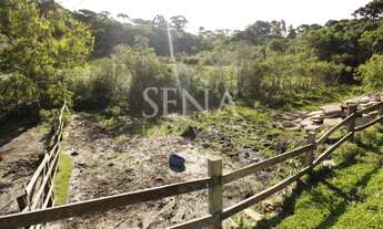 Imagem 5: Casa / Venda Casa com 3 dormitórios