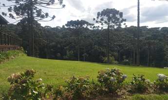 Imagem 5: Lote/Terreno para venda possui 1200 metros quadrados em Centro - Campo Alegre - SC