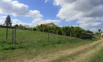 Imagem 6: Terreno 1.000 m2 água enc. lúz internet Escritura Iptus ok. Ref. 108 Silva corretor