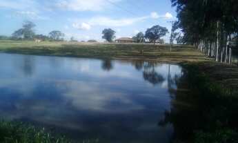 Imagem 4: Chácara de 2 alqueires em Pereiras - SP com atividade pecuária