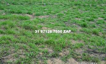 Imagem 6: Chácaras 1.000 mts planas água luz pronto pra construir em Ravena só 45 mil