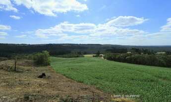 Imagem 7: Chácara para Venda em Rio Preto Mafra-SC