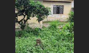 Imagem 3: Pinhais Casa para venda tem 185 metros quadrados com 4 quartos em Vargem Grande - Pinhais