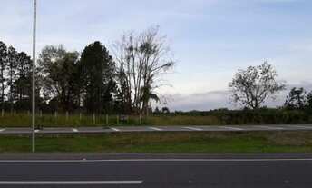 Imagem 3: Pelotas - Terreno Padrão - Distrito Ponte Cordeiro de Farias