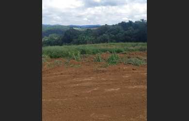 Imagem 4: N05- Confira terreno de mil metros