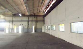 Imagem 7: GALPAO INDUSTRIAL em SÃO PAULO - SP, LIMÃO