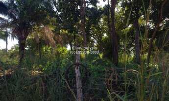 Imagem 5: Terreno à venda no município de Santo Antônio de Leverger-MT