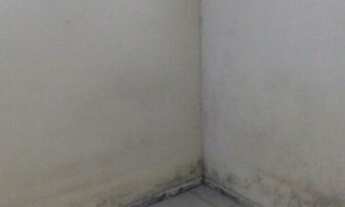 Imagem 3: Casa pra vender Casa com 2 dormitórios